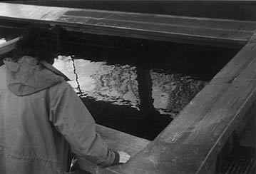 Le lavoir.